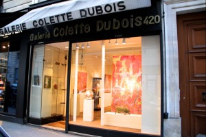 1 C. Dubois 2013